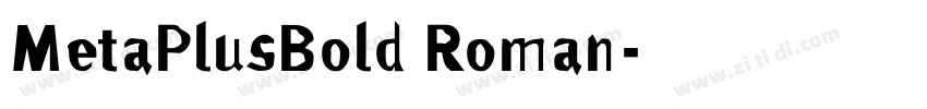 MetaPlusBold Roman字体转换 MetaPlusBold Roman字体转换